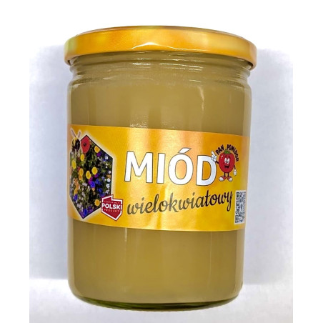 Miód Wielokwiatowy średni 590 g