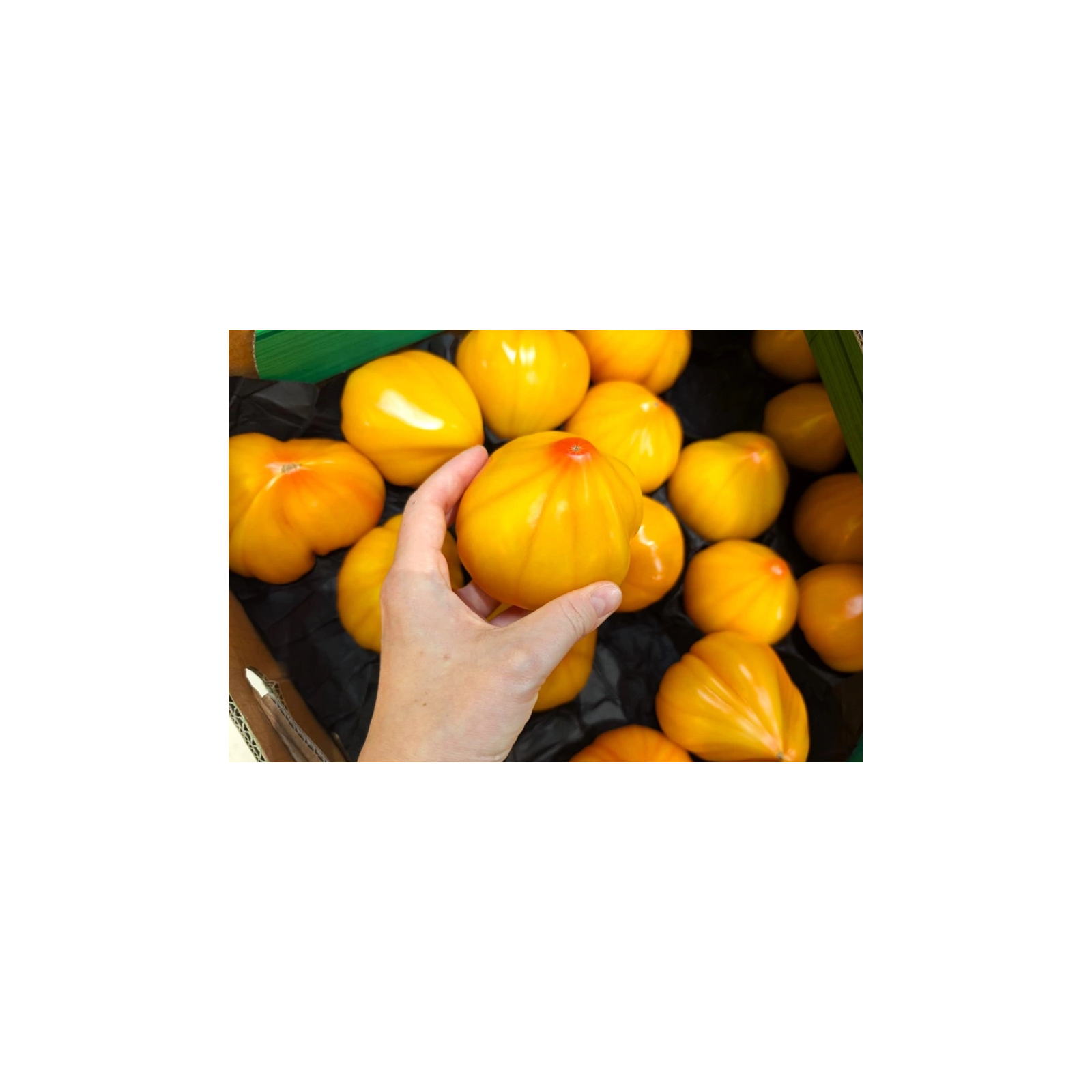 Pomidor ananasowy 1kg