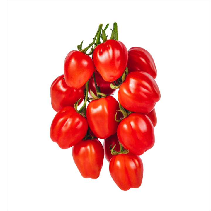 Pomidor papryczkowy gałązka 500gr