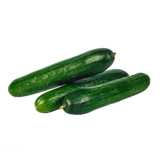 Ogórek Szklarniowy  1 kg