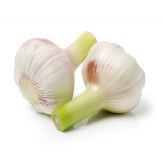 Czosnek główka 1 szt