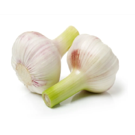 Czosnek główka 1 szt