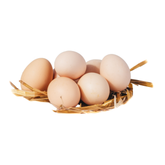 Jaja z wolnego wybiegu 10szt