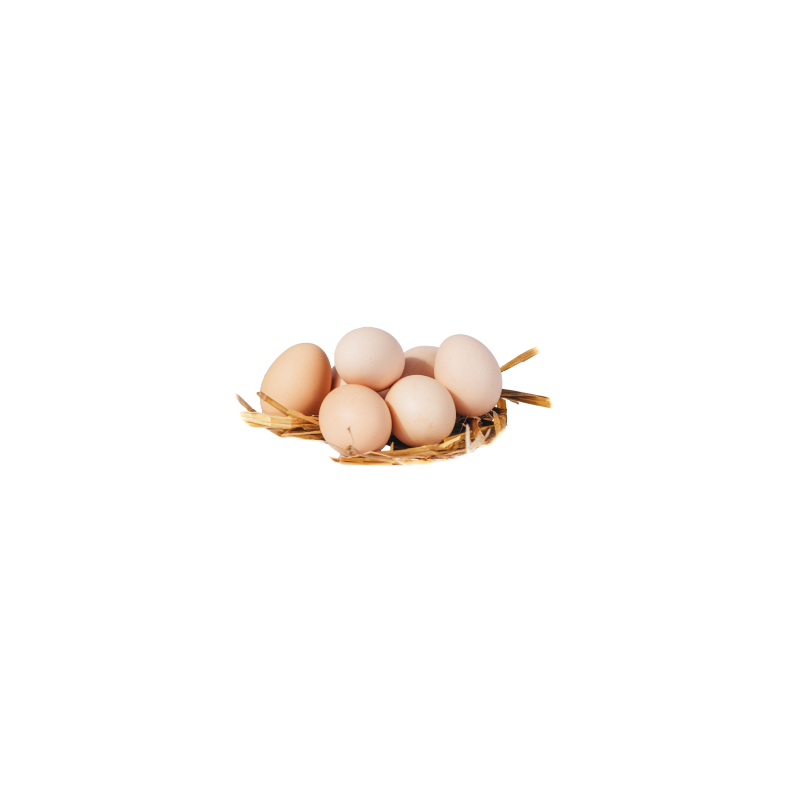 Jaja z wolnego wybiegu 10szt