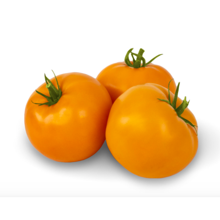 Pomidor Żółty 1kg